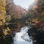 bronx river.jpg (1 MB)